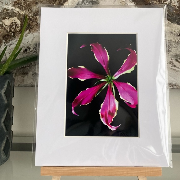 “YOU SPIN ME ROUND” ~ ORIGINAL ART by ~ @lisamichellebeckerphotography - Picture 9 of 13